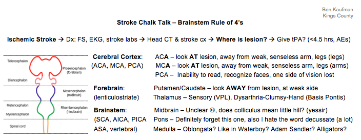 rule of 4 brainstem boards and beyond