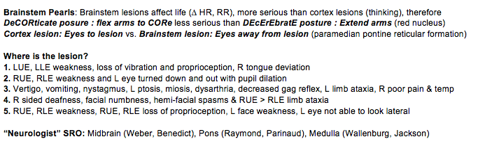 rule of 4 brainstem