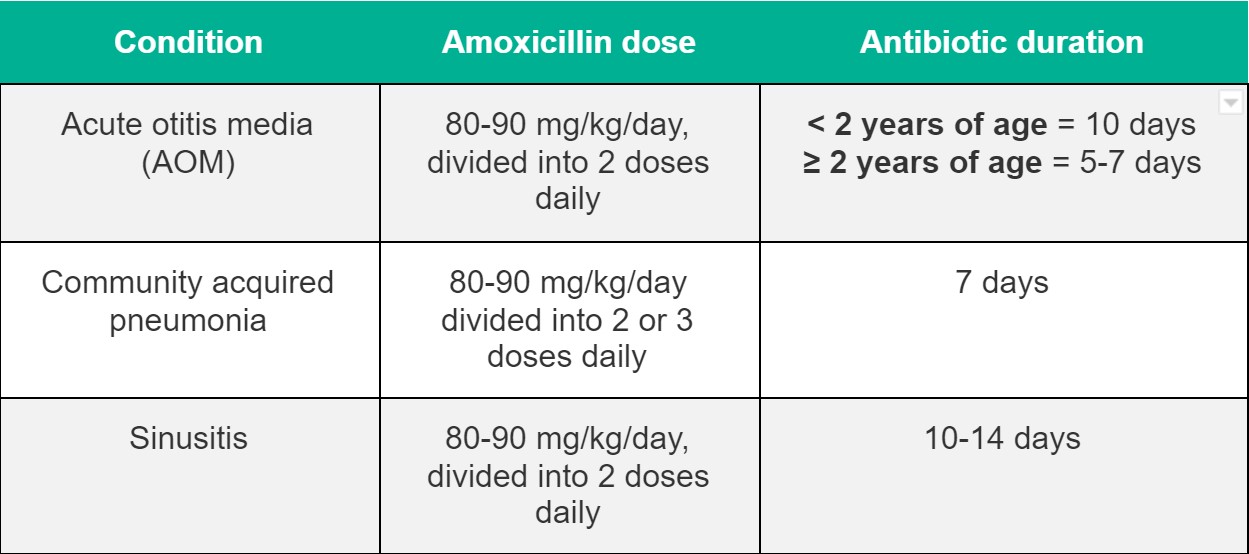 amoxicillin dosage chart for adults strep throat