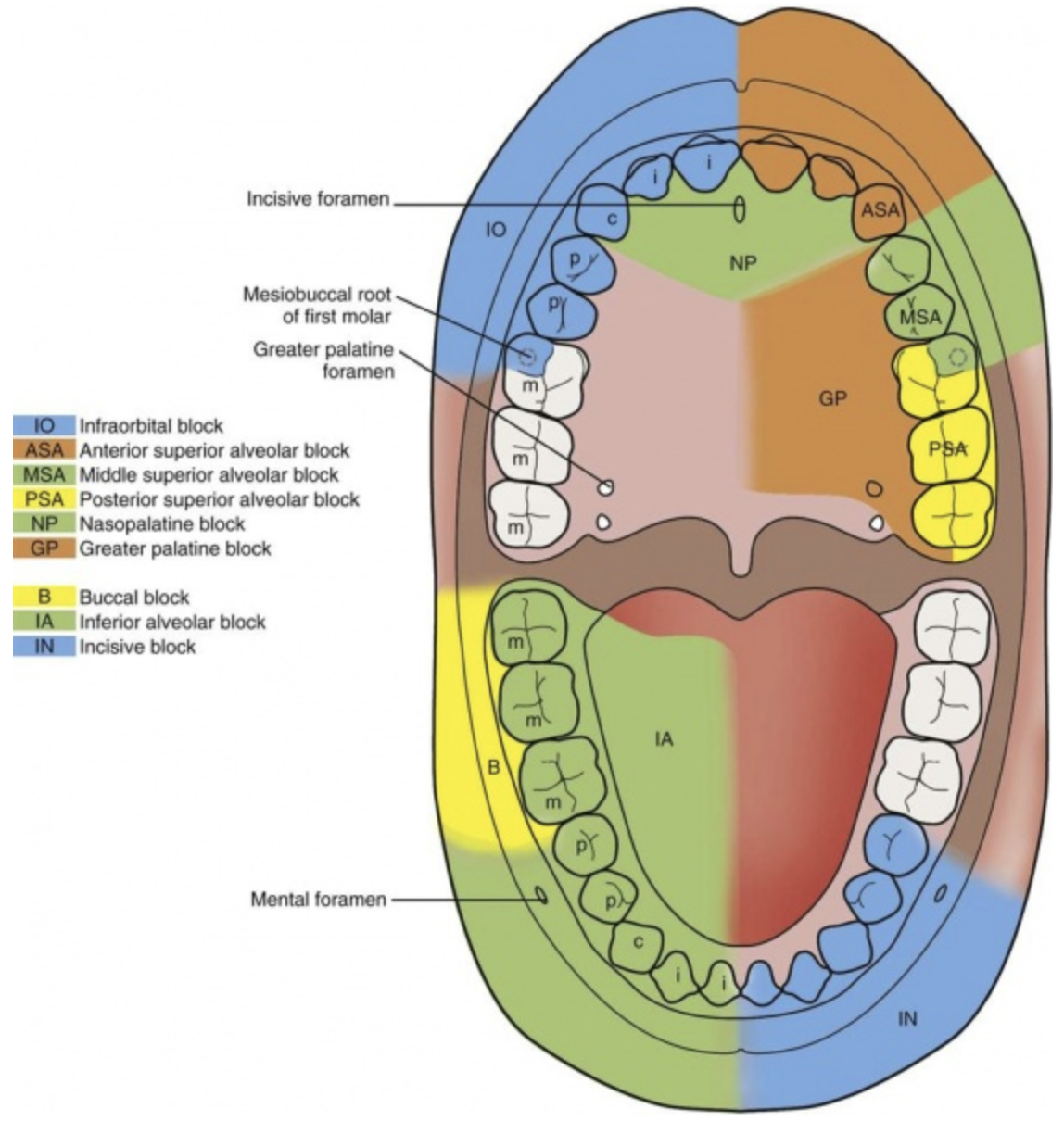 dental-blocks-county-em