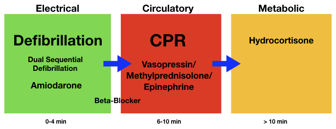 What are the options for treating refractory ventricular fibrillation ...