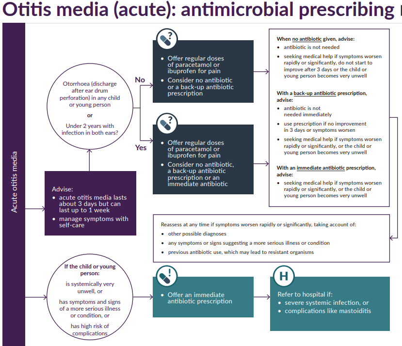 Antibiotics For Pediatrics Infections And Amoxicillin Dosing - County EM